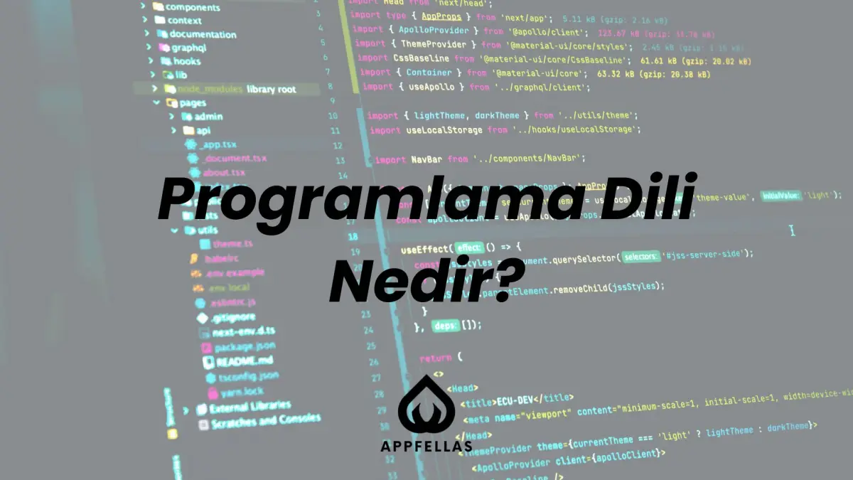 Programlama Dili Nedir?