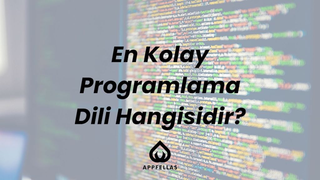 En Kolay Programlama Dili Nedir?